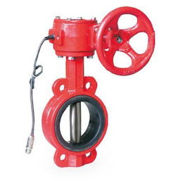 消防管道閥門必須采用經(jīng)消防認證的產(chǎn)品